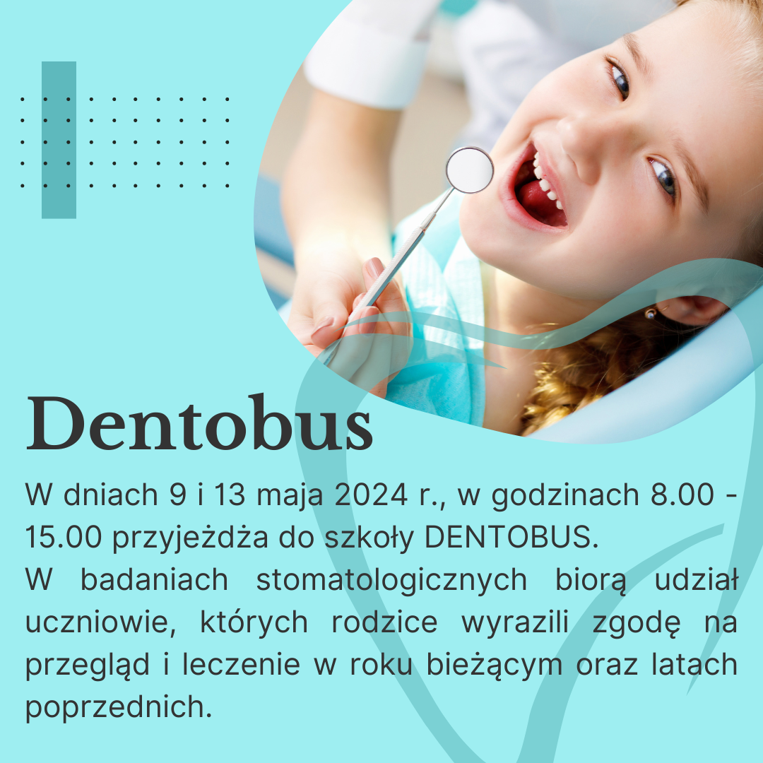 Dentobus - Obrazek 1