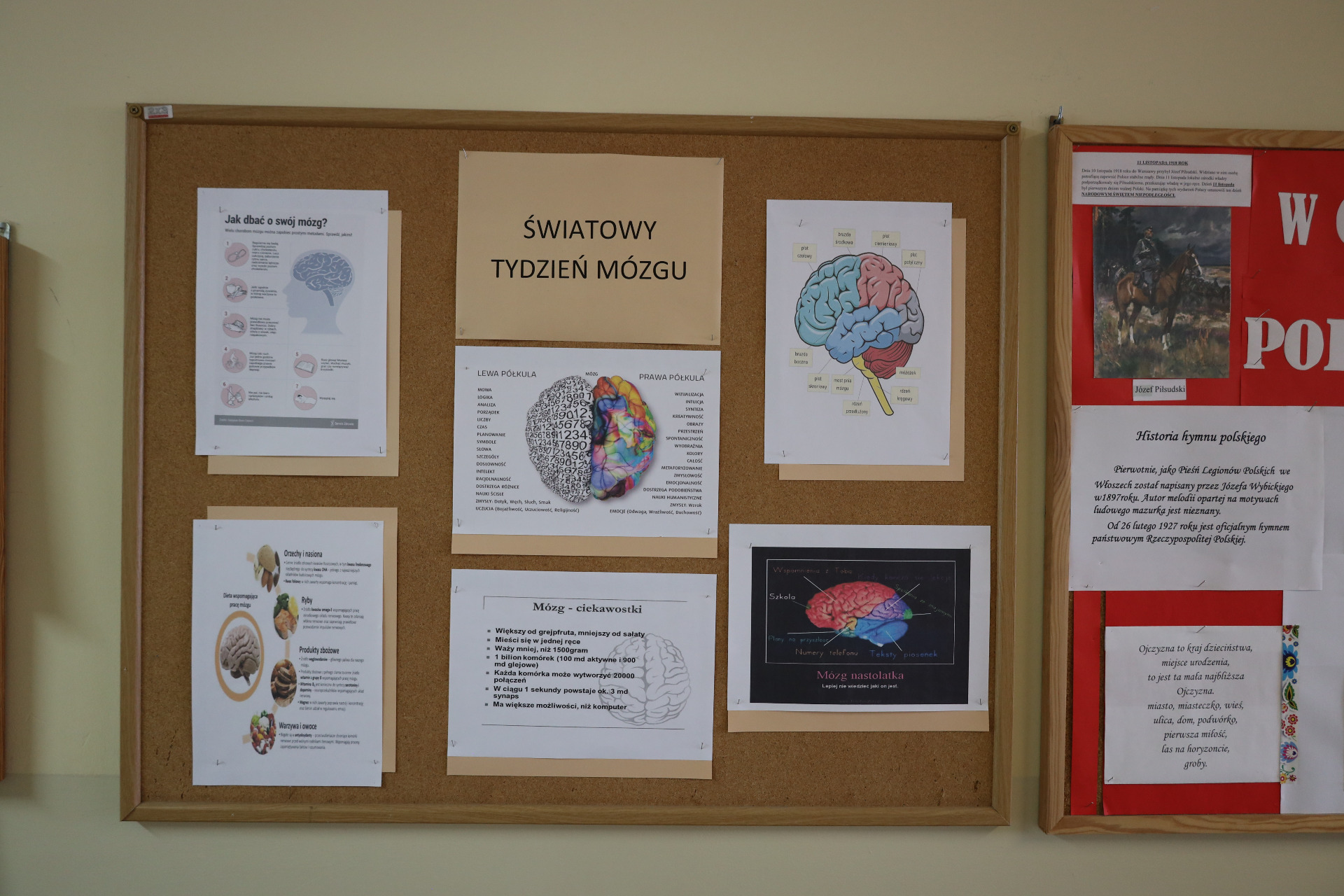 Tydzień mózgu w naszej szkole -2024 - Obrazek 1