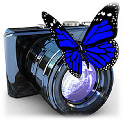 3d illustration of photographic camera and butterfly on white ...