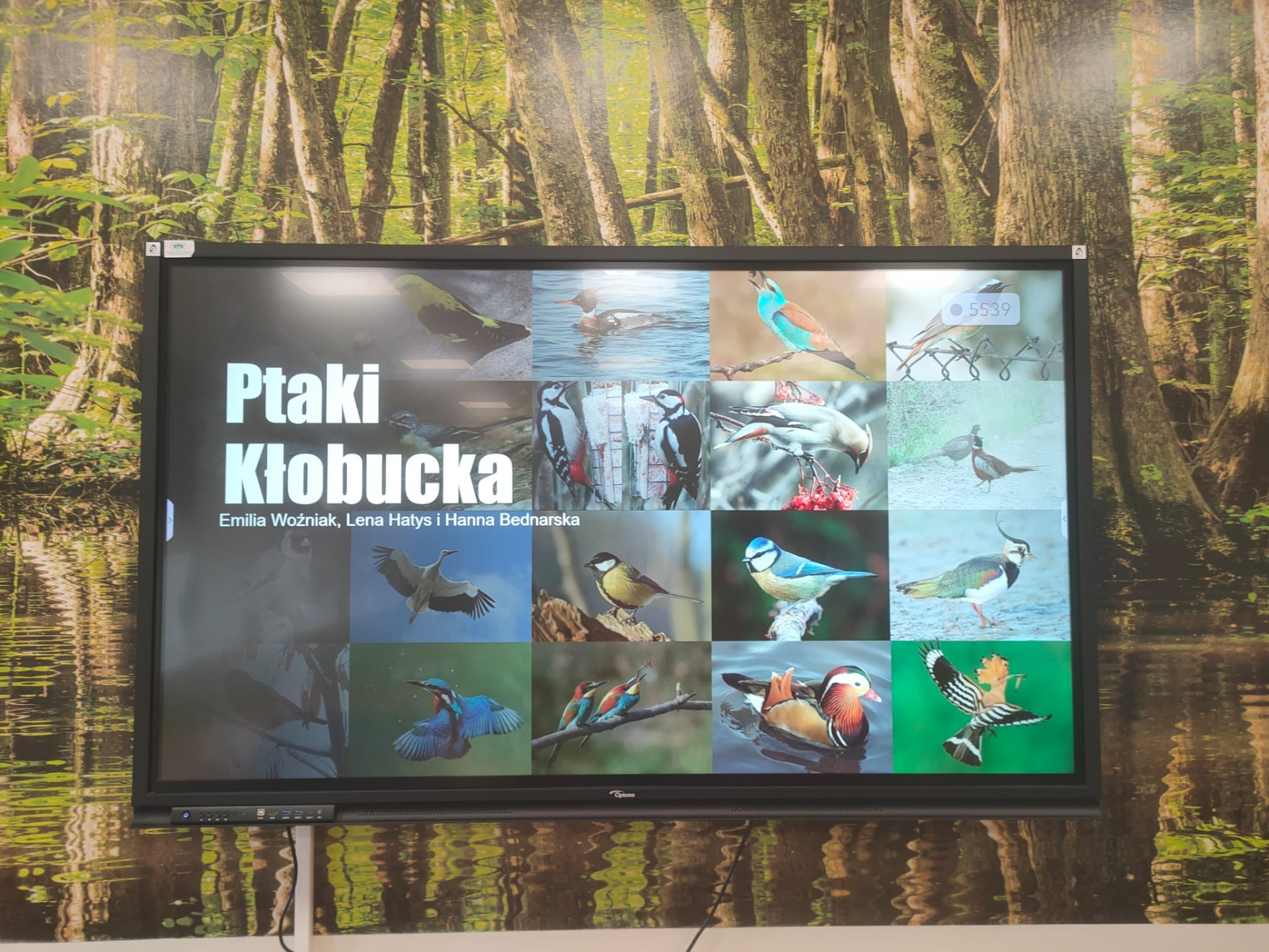 Zajęcia ornitologiczne dla Przedszkolaków z Gminnego Przedszkola nr 4 w Kłobucku- Zagórzu🦆🦅🦉🦢🪺 - Obrazek 1