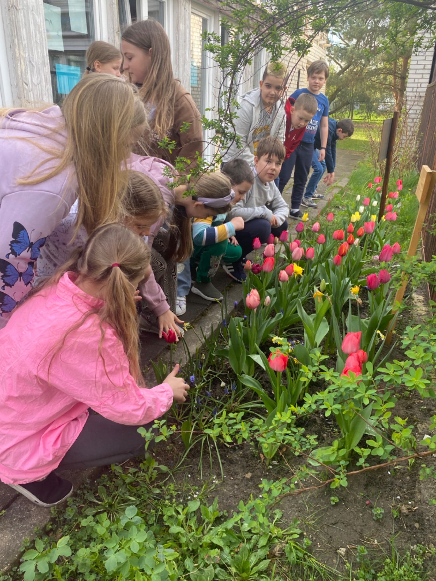 Dzieci podziwiają kwiaty w ogródku 