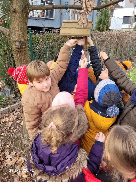 Grupka dzieci, zgromadzona wokół zawieszonego na drzewie karmnika. Każde z nich wyciąga rękę w stronę karmnika i wkłada do niego ziarna.