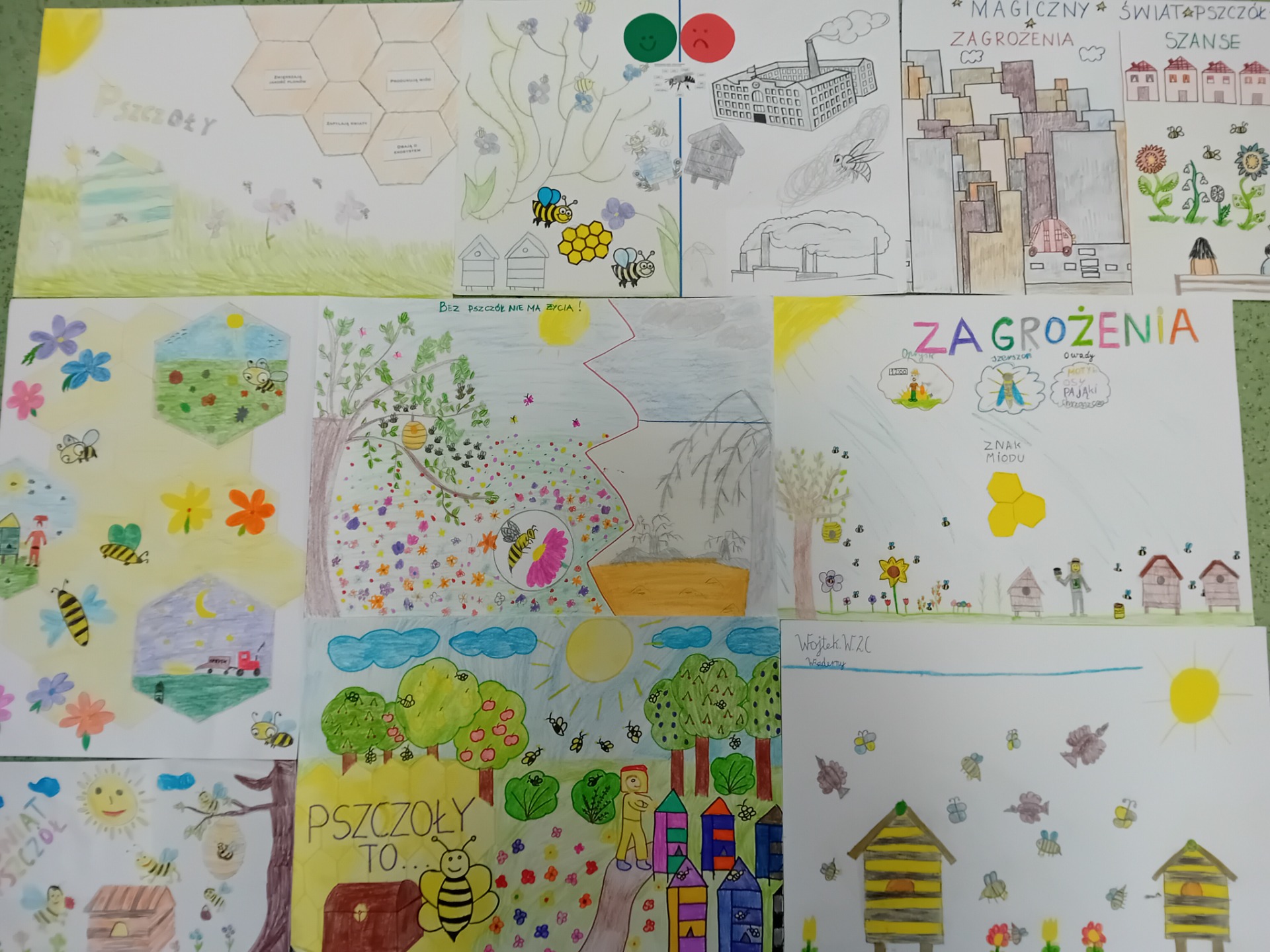 „Magiczny świat pszczół” w klasie 2c - Obrazek 6