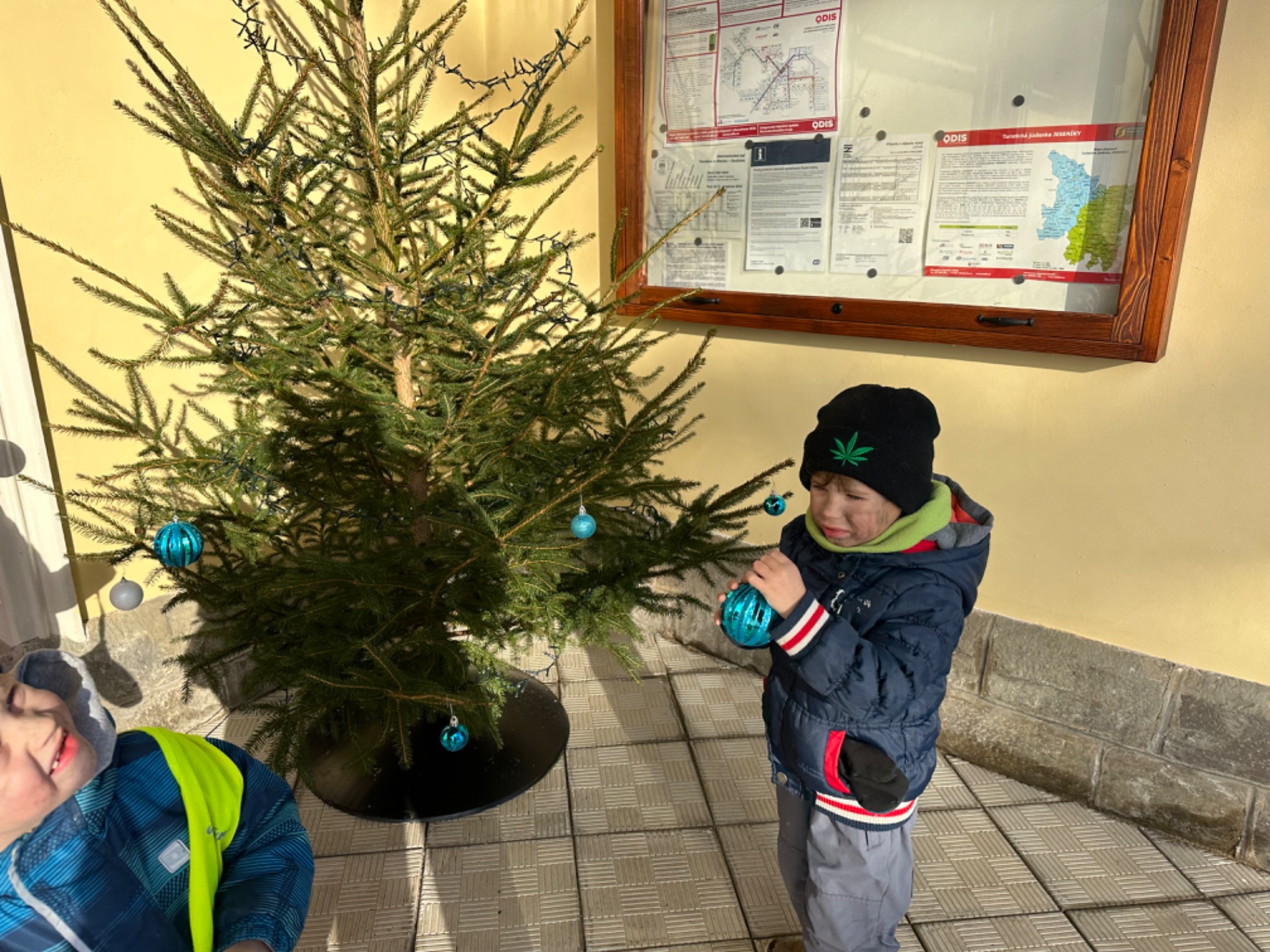 Stromeček v Liptani na nádraží - Obrázek 6