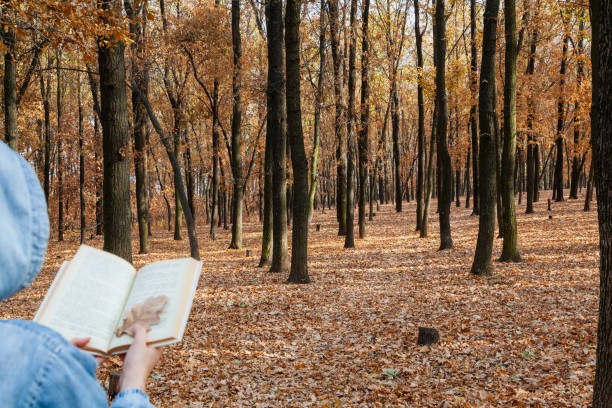 „Zaczytani jesienią” –konkurs fotograficzny, którego celem jest wykonanie portretu dziecka czytającego książkę w pięknej jesiennej scenerii. - Obrazek 1
