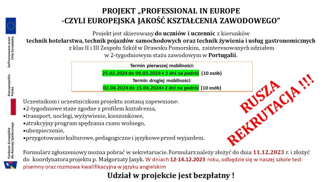 Professional in Europe- rekrutacja  - Obrazek 1