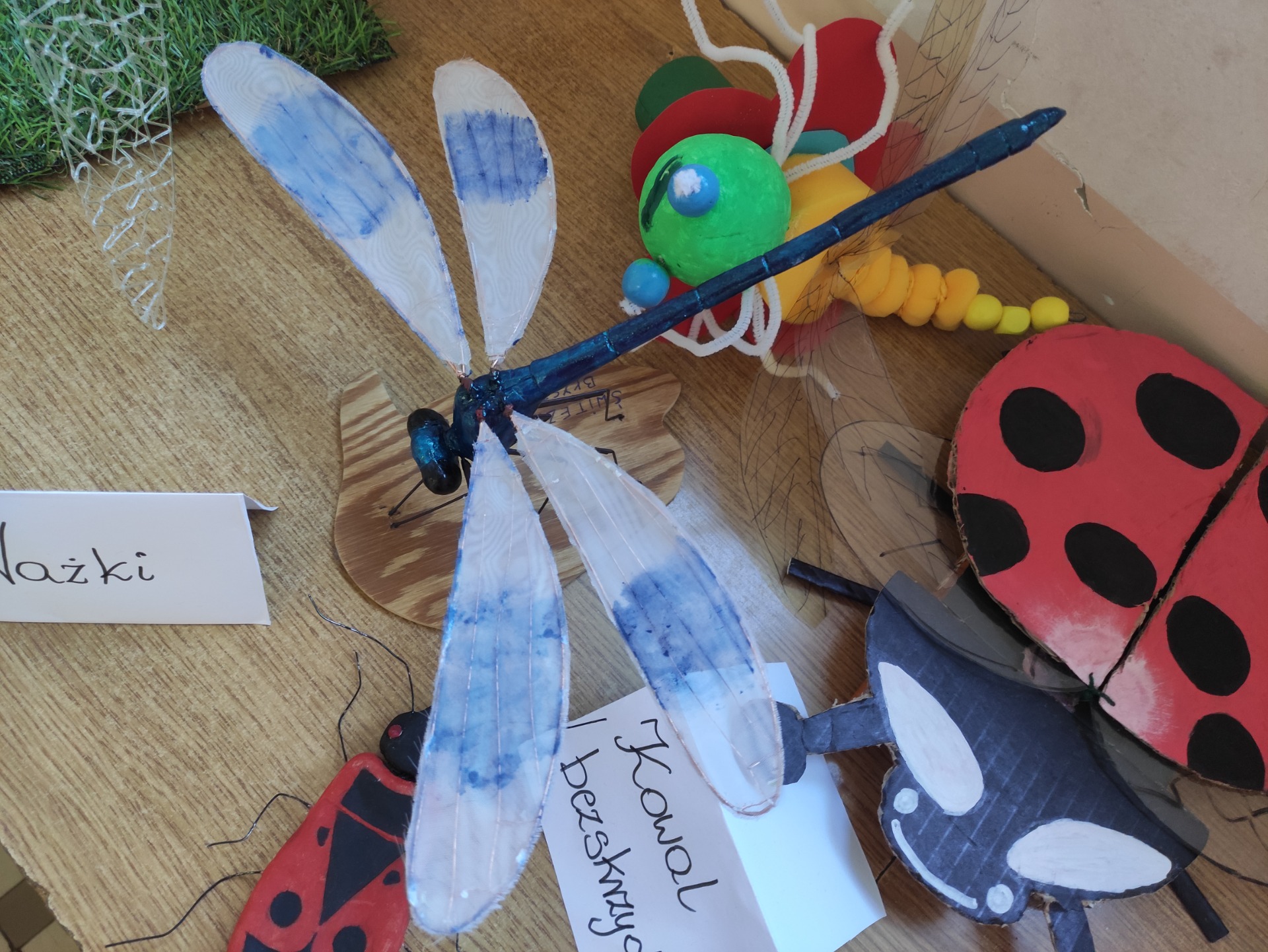 Wystawa owadów wykonanych przez uczniów klas szóstych