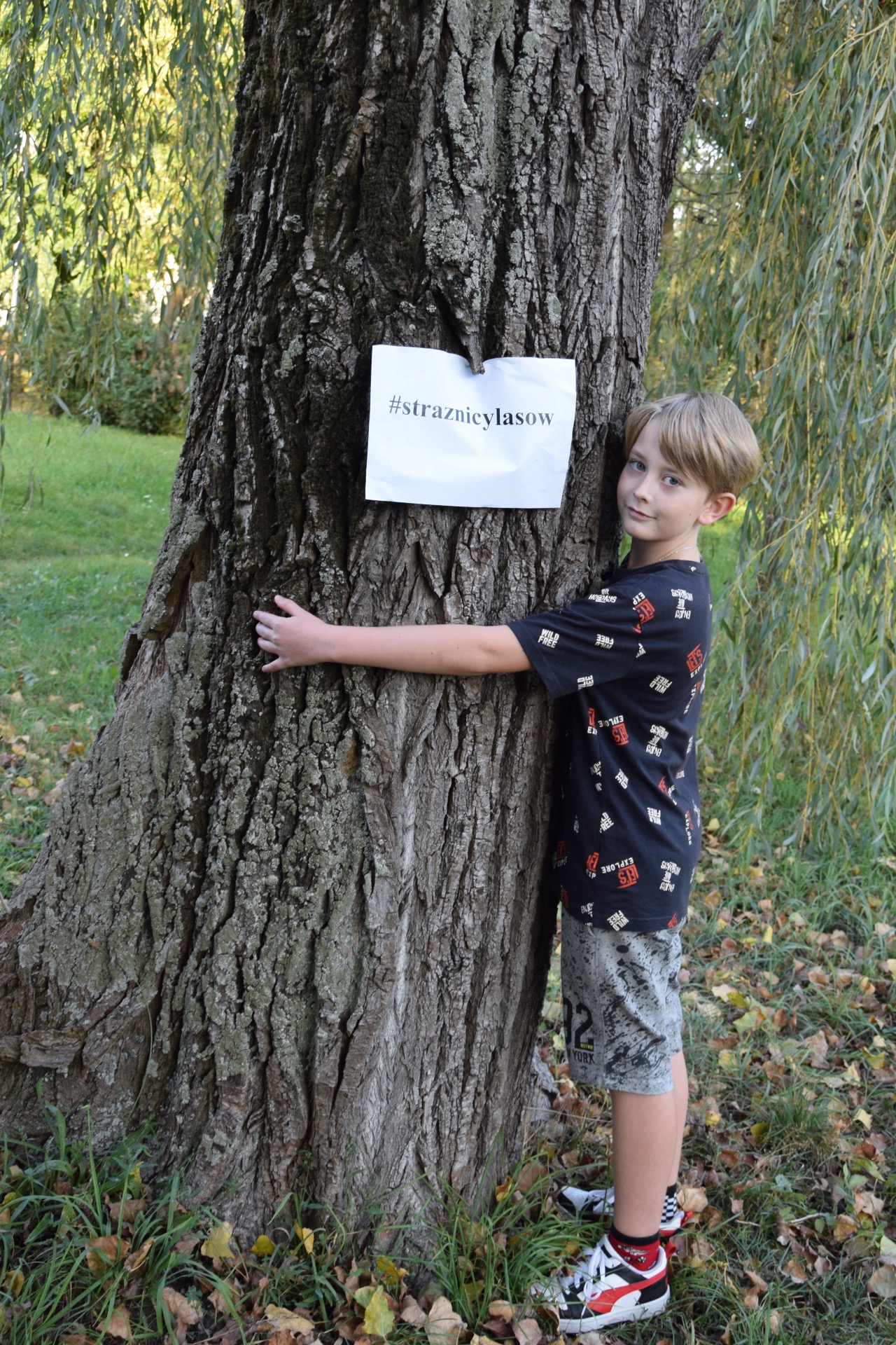 Kampania "Przytul sie do drzewa" - Obrazek 4