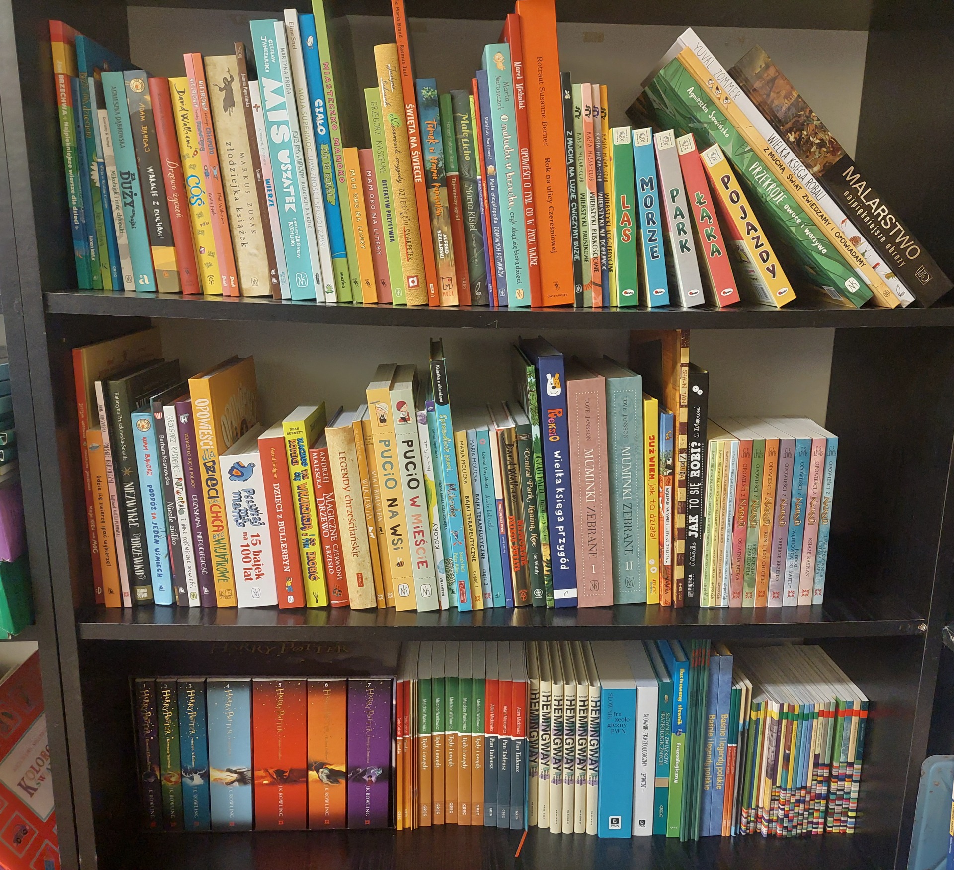 Półka z książkami zakupionymi w ramach Narodowego Programu Rozwoju Czytelnictwa.