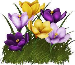 Wiosna: Animowane gify i obrazki - Wiosenne kwiaty