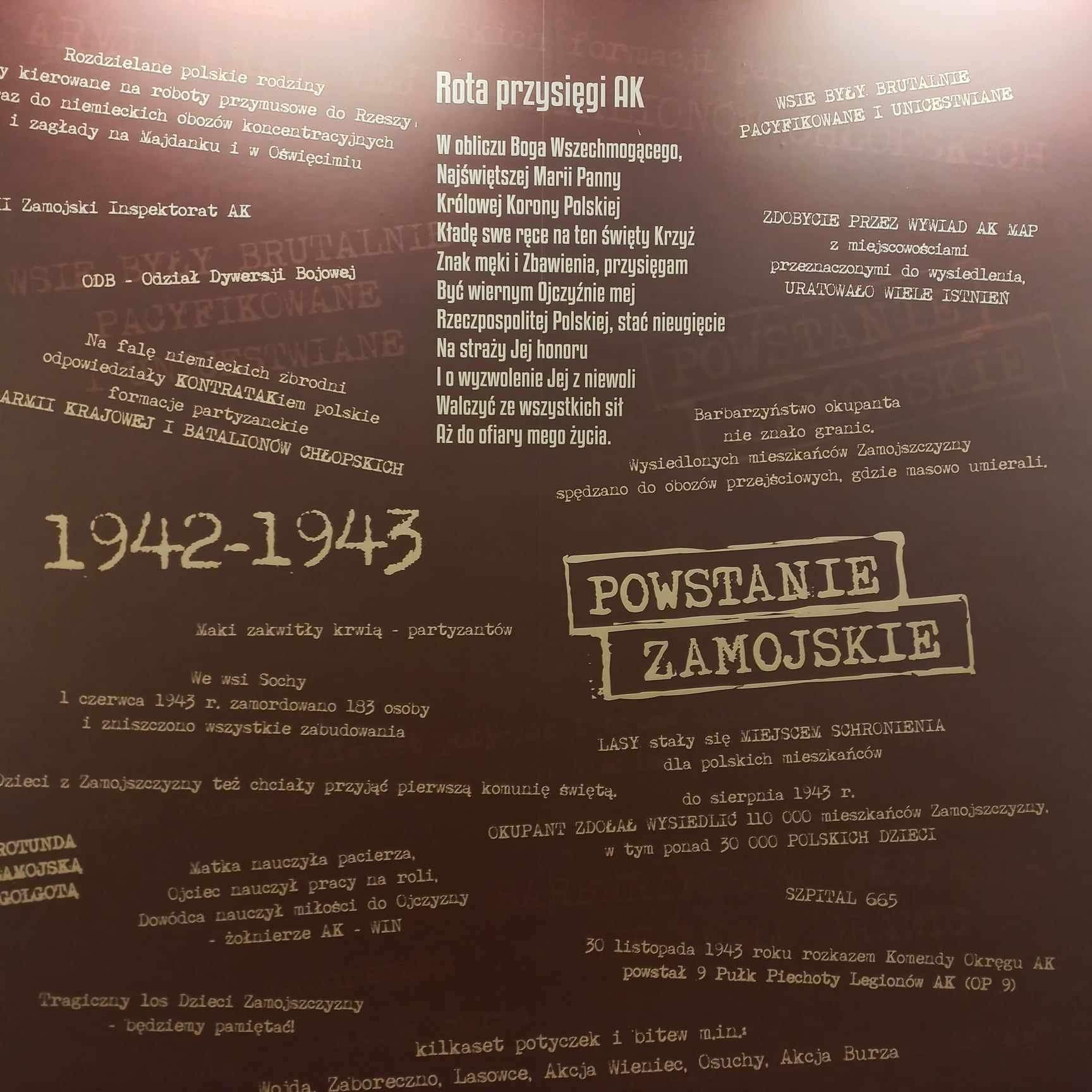 Projekt „Muzeum Historyczne Inspektoratu Zamojskiego AK w Bondyrzu" - Obrazek 4