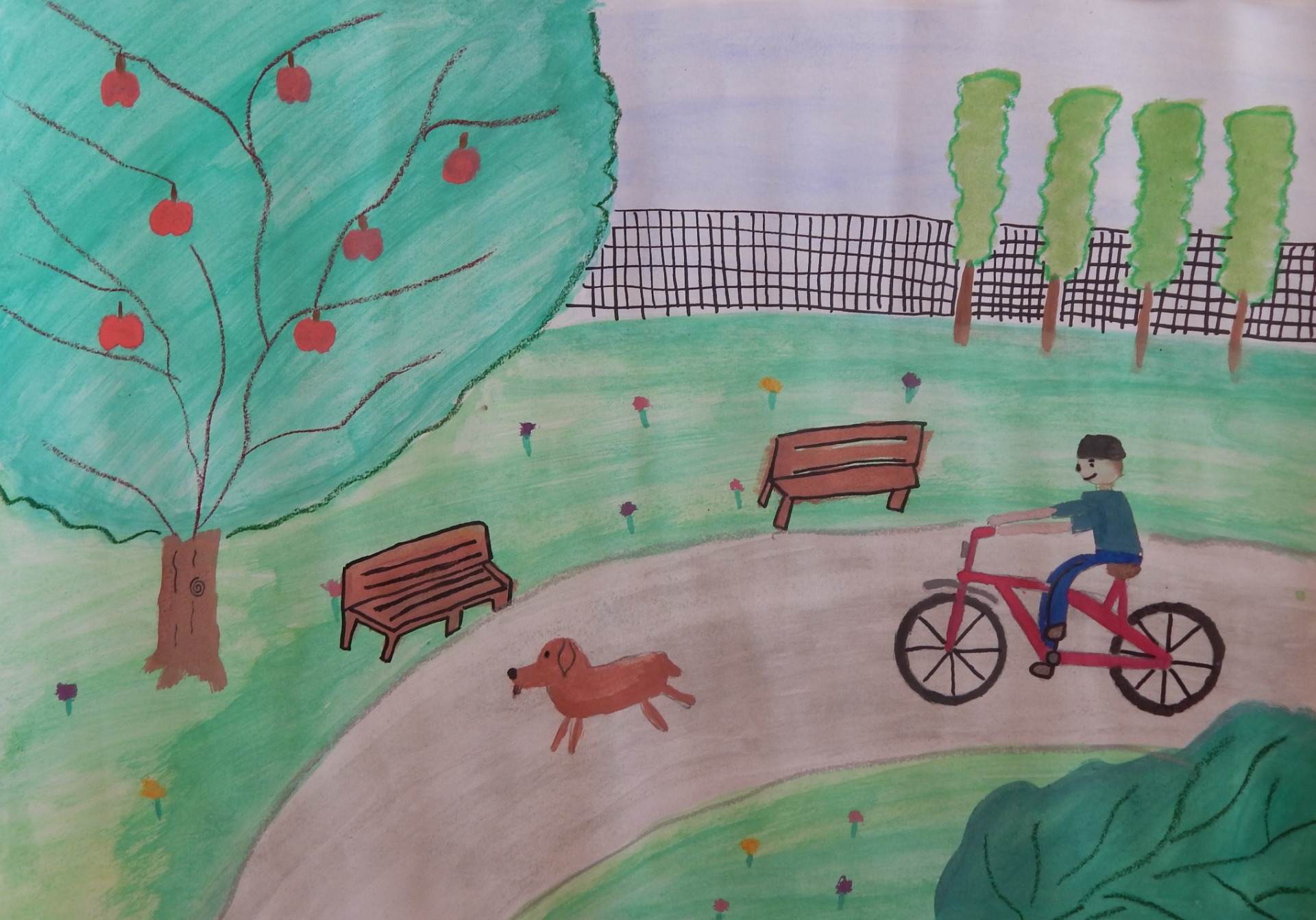 Dziecko jadące na rowerze po piaszczystej drodze. Na drugim planie ławeczki piękne zielone drzewo.